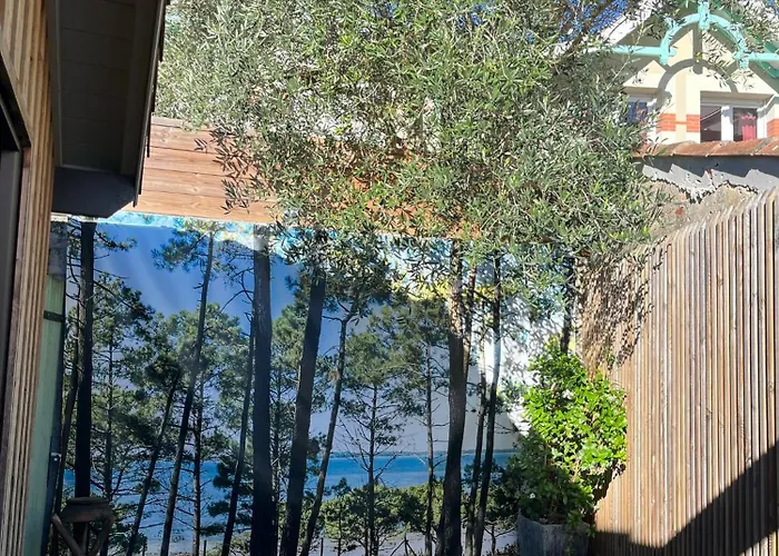 La Sanson * Arcachon